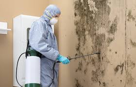 Why You Should Choose Our Mold Remediation Services in Campbelltown, PA